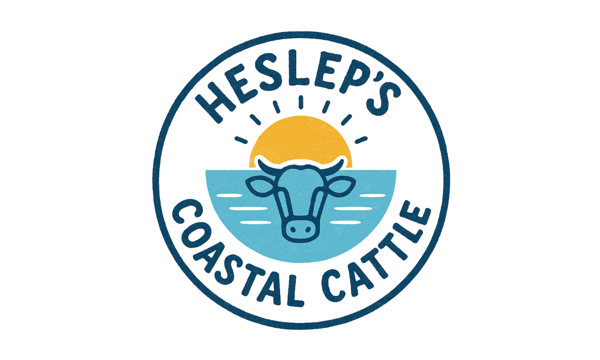 Hesleps Coastal Cattle